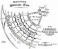 Diagrama de Howard. Distrito e Centro (a cidade dividida em 6 setores) [LUCEY, Norman]