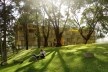 vista do parque