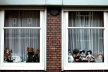 figura 4 - Dutch Windows
<br />Foto Fernanda Curi 