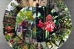 O Ciclo da Vida<br />Denise Milan 
