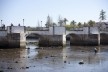 36. Ponte antiga sobre o Rio Gilão, Tavira<br />Foto Eduardo Costa  [Acervo: Arquivo Portugal: 2011-2012]