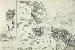 Ilha de Santa Helena, bico de pena e aguada, n. 133, 27 maio 1808<br />William John Burchell  [Collection Museum Africa, Johannesburg]