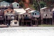 Figura 3 – Casas sobre palafitas no Rio Negro, adequadas às cheias do rio<br />Foto Beatriz Santos Oliveira 