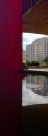 Masp