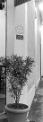 Arquitetura favorece encontro