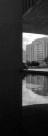 Masp
