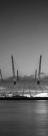 Richard Rogers e a figura da epiderme(1)