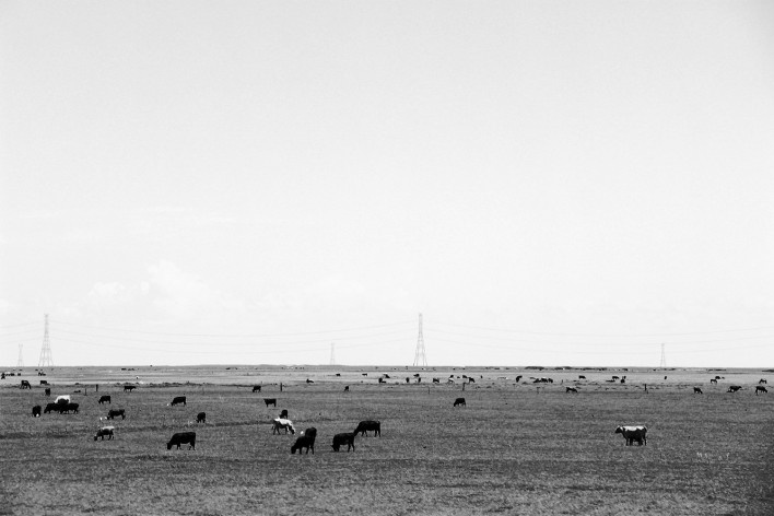 Observatório do Campo e das Estrelas, Ceibas, Entre Rios, Argentina, arquitetos Cássio Sauer e Elisa T Martins<br />Foto divulgação  [Sauermartins]