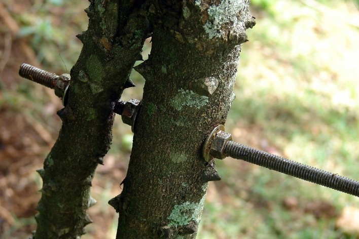 Detalhe parafuso<br />Foto Carlos M. Teixeira 