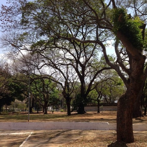 Entrequadra 107/106 Sul, atrás do Cine Brasília<br />Foto Luiza Campos 