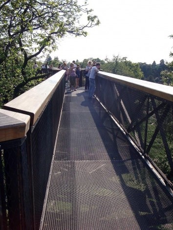 Kew Gardens, Xstrata Walkway Treetop, Londres<br />Foto Francine Sakata 