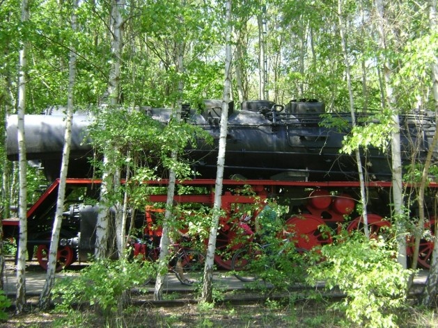 Südgelände Natur-Park, Berlim, Alemanha. Arquiteto Peter Latz<br />Foto Paloma P. de Siqueira, 08/05/11 