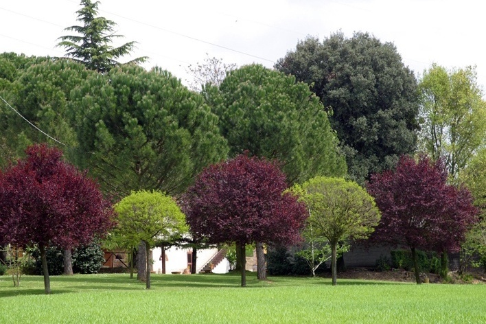 Paisagens da Toscana, Itália<br />Foto Flávio Bitelman 
