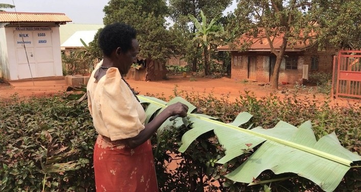 Cenas do vilarejo de Kikajjo, Kampala, Uganda<br />Foto Mariana Montag 
