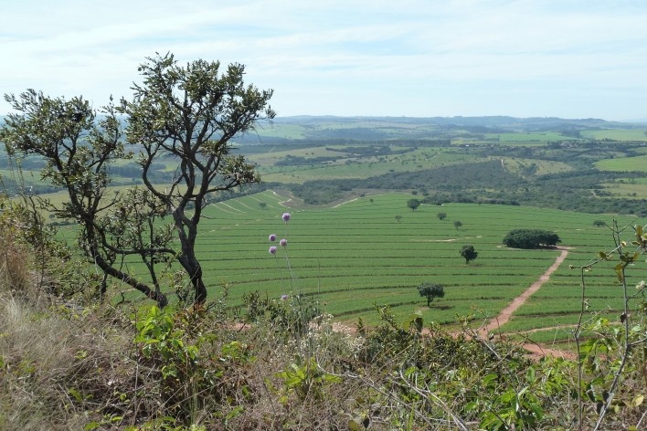 Morro da Mesa, paisagem rupestre<br />Foto Michel Gorski 