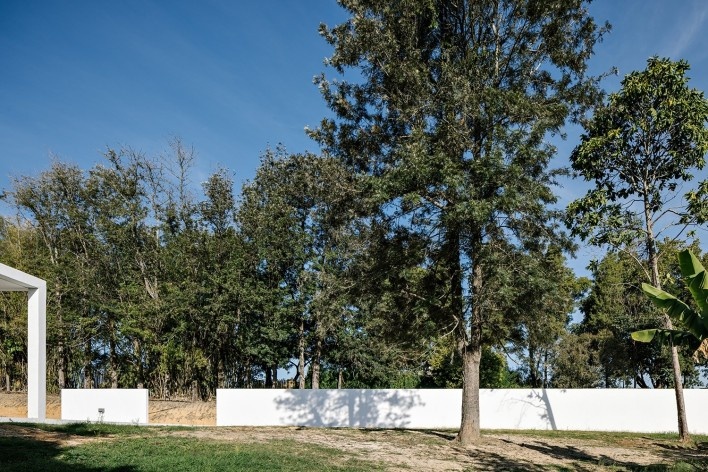 Pavilhão da Agrofloresta, Porto Feliz SP, 2023. Arquiteto Felipe SS Rodrigues (autor)<br />Foto Fran Parente 