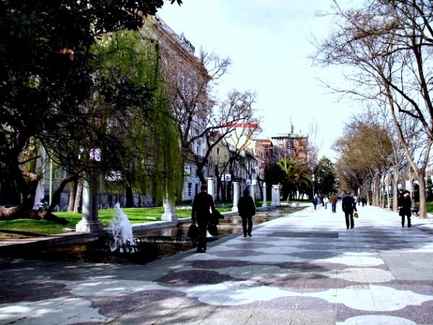 Passeio ao longo de uma avenida<br />Foto Ana Paula Medeiros 
