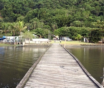 Serra do Guararú, vertente do canal, Guarujá, São Paulo, outubro 2005<br />Foto Sérgio Sandler 