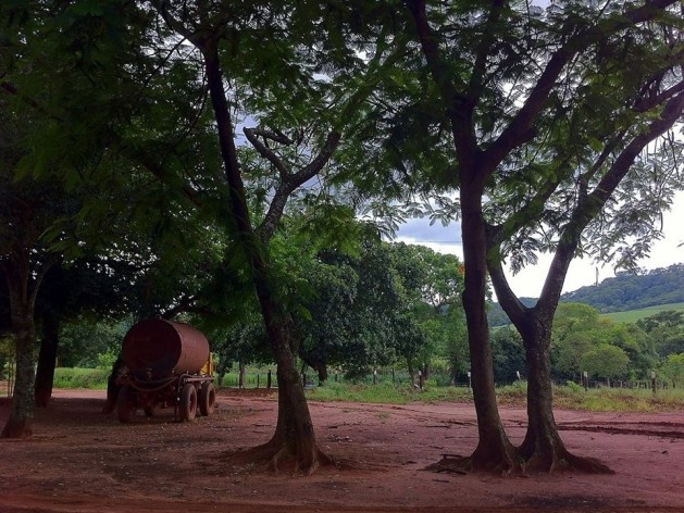 Sítio Laranjal, área rural, Araraquara<br />Foto Abilio Guerra 