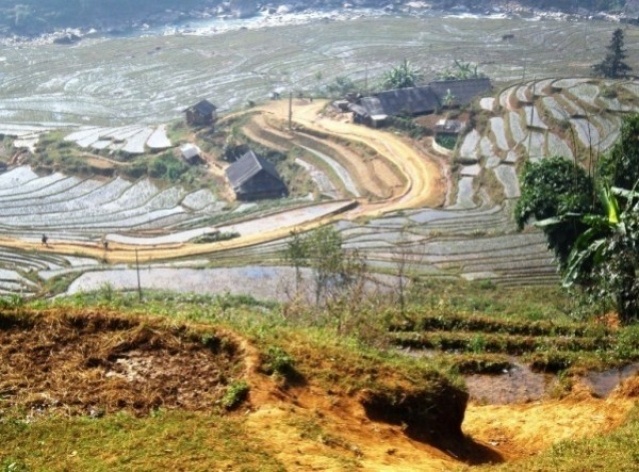 Sapa, vista do Vale Muong Hoa, vida entre água e arroz<br />Foto Lucia Maria Borges de Oliveira 