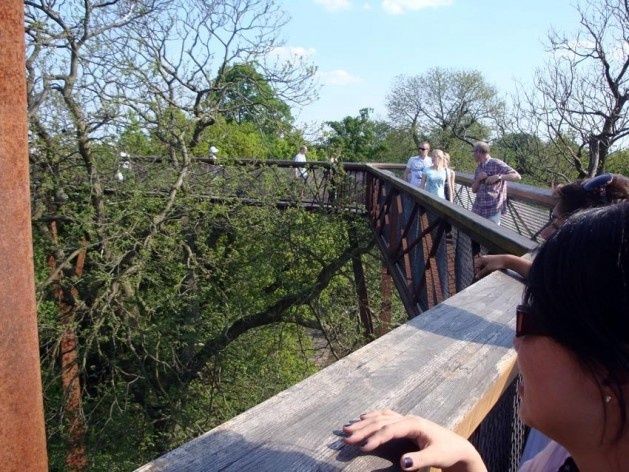 Kew Gardens, Xstrata Walkway Treetop, Londres<br />Foto Francine Sakata 