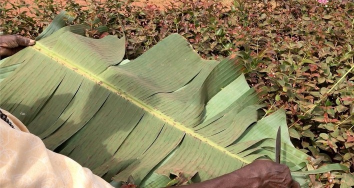 Cenas do vilarejo de Kikajjo, Kampala, Uganda<br />Foto Mariana Montag 