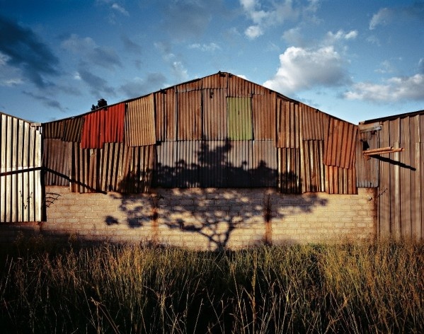 Exposição O jardim<br />Foto Pedro David 