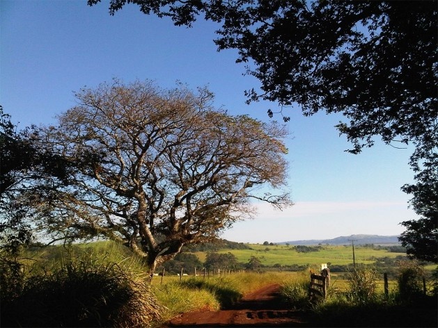 Ensaio “Paraíso escondido”<br />Foto Abilio Guerra 
