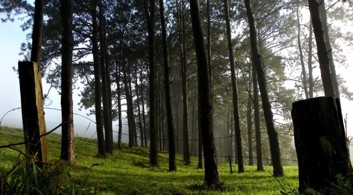 Estrada da Laranja Azeda, Atibaia SP<br />Foto Adriano de Carvalho Capeto 