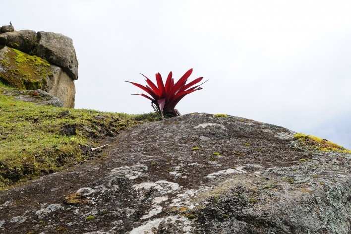 Macchu Picchu, Peru<br />Foto Juan Guerra 