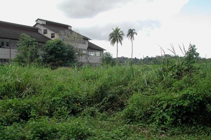 Fordlandia, exemplo de destruição e construção<br />Foto Carlos Teixeira 