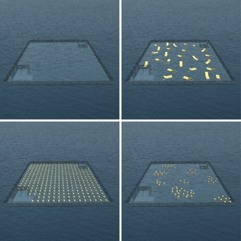 Spree river theatre, multiple layout possibilities. Carlos M. Teixeira