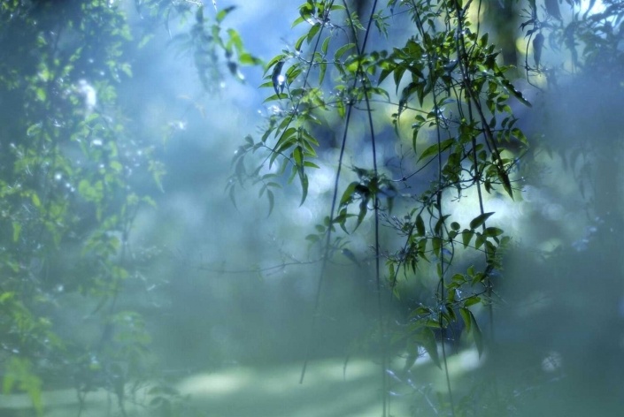 Mostra "Ao vento"<br />Foto Adriana Rosset 