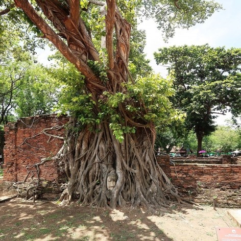 Templo de Wat Mahathat, Birmânia<br />Foto Victor Hugo Mori 