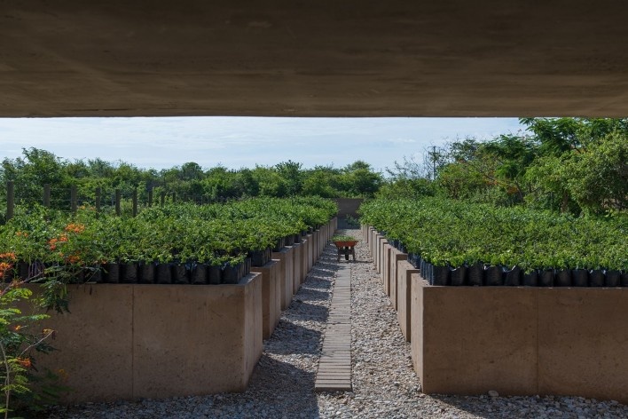 Guayacán Pavilion, Puerto Escondido, Oaxaca, México, 2018. Architects Jorge Ambrosi y Gabriela Etchegaray (authors) / Ambrosi Etchegaray<br />Foto/photo Jaime Navarro 