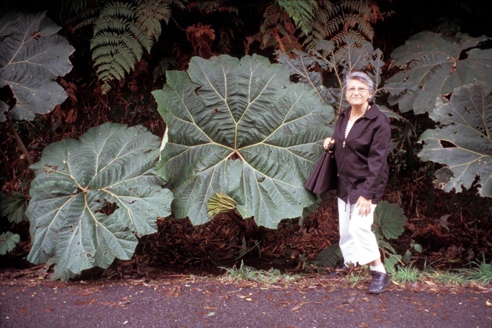 <br />Rosa Kliass  [Foto divulgação]