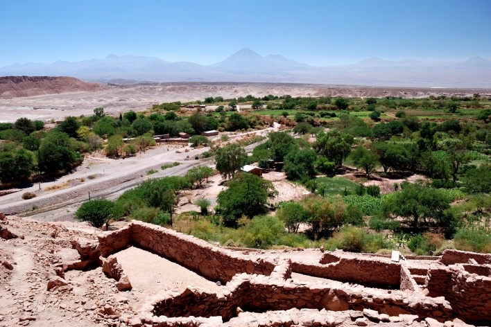 Oásis de San Pedro, Atacama, Chile<br />Foto José Tabacow 