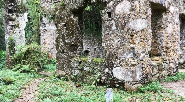 Ruínas do Engenho da Lagoinha, detalhe dos vãos de janela em quina, Ubatuba SP<br />Foto Thamara Gasch 