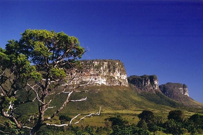 Morro do Pai Inácio. Chapada Diamantina<br />Foto Simone H. T. Vizioli 