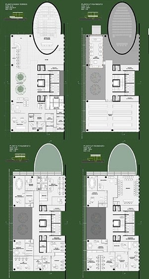 Plantas
  	  	 <br />Imagem do autor do projeto 