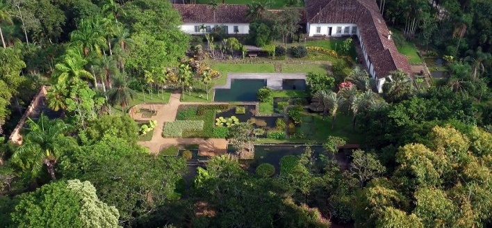 Fazenda Vargem Grande, paisagismo de Roberto Burle Marx<br />Foto Pedro Mascaro 