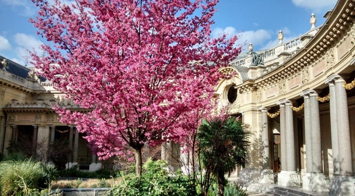 Jardim interno do Petit Palais, fevereiro 2014<br />Foto Silvia Palazzi Zakia 