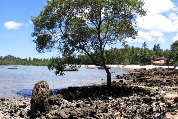 Praia em Boipeba<br />Foto Abilio Guerra 