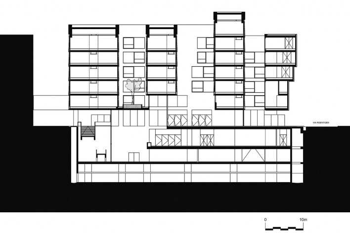 Nova Bocconi, corte longitudinal. Grafton Architects [Grafton Architects]