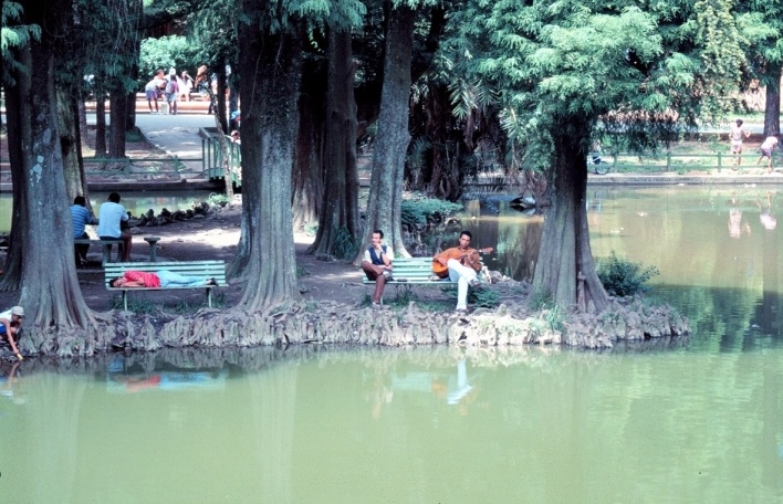 Horto Florestal, São Paulo<br />Foto Clayton Lino 
