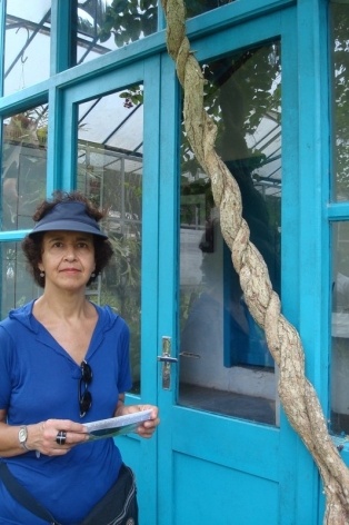 Maria Cecilia Barbieri Gorski<br />Foto Thomas Cytrynowicz 
