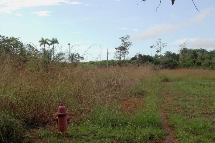 Fordlandia, exemplo de destruição e construção<br />Foto Carlos Teixeira 