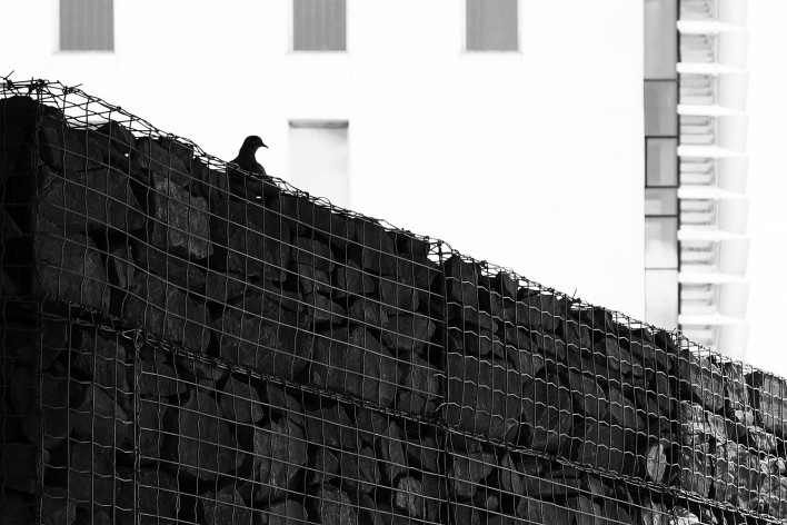 Fecomércio, Sesc e Senac do Rio Grande do Sul, Porto Alegre RS, 2020. Arquitetos Dario Corrêa Durce, Emerson Vidigal, Eron Costin, Fabio Henrique Faria e João Gabriel Rosa (autores) / Estúdio 41<br />Foto Eron Costin 