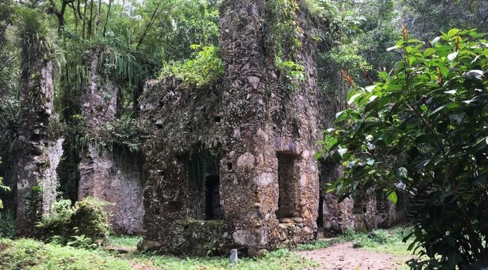 Ruínas do Engenho da Lagoinha, vista do conjunto, Ubatuba SP<br />Foto Thamara Gasch 