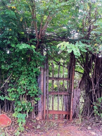 Portão de chácara, Vila Xavier, Araraquara<br />Foto Abilio Guerra 
